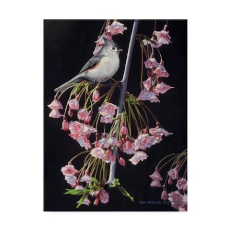 Ron Parker 'Titmouse And Blossoms' Canvas Art,35x47
